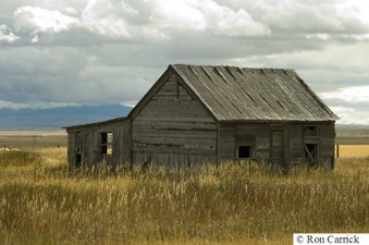 Enlarge photo 101