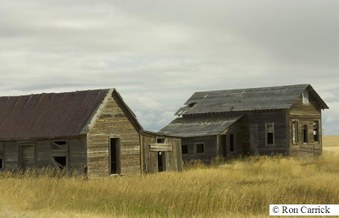 Enlarge photo 102