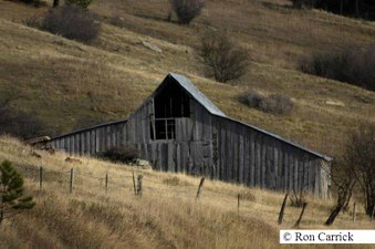 Enlarge photo 106