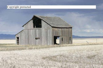 Enlarge photo 107