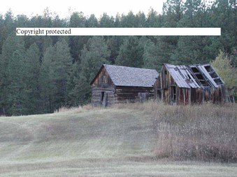 Enlarge photo 113