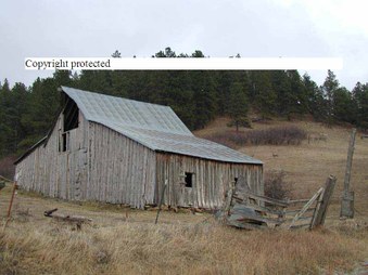 Enlarge photo 114
