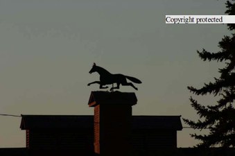 Enlarge photo 115