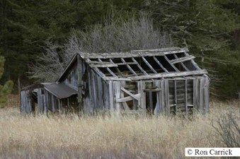 Enlarge photo 118