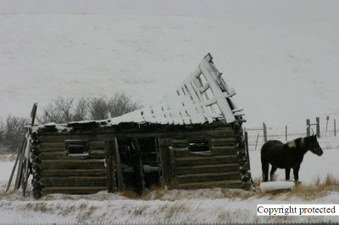 Enlarge photo 119