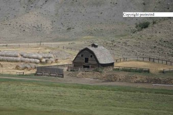 Enlarge photo 126