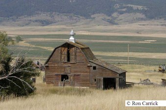 Enlarge photo 131