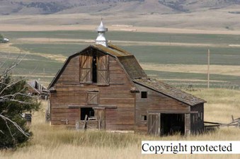 Enlarge photo 132
