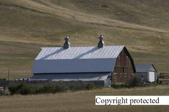 Enlarge photo 135