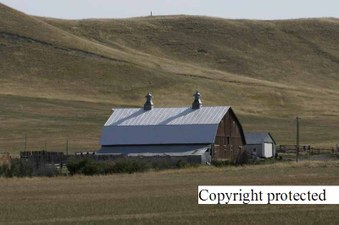 Enlarge photo 136
