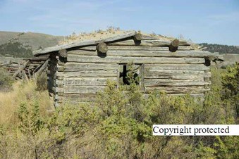 Enlarge photo 139