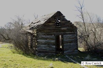 Enlarge photo 141