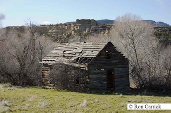 Enlarge photo 142