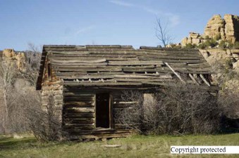 Enlarge photo 145