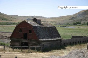 Enlarge photo 149