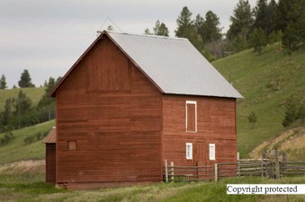 Enlarge photo 151