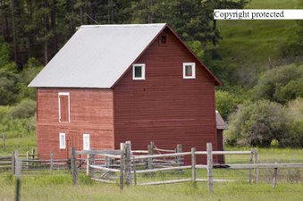 Enlarge photo 152