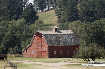 Enlarge photo 155