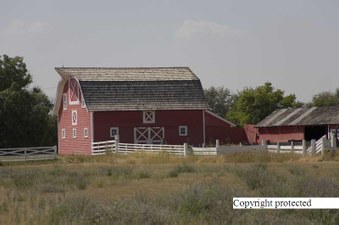 Enlarge photo 158