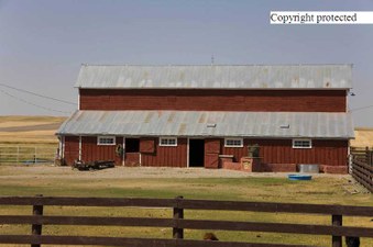 Enlarge photo 159