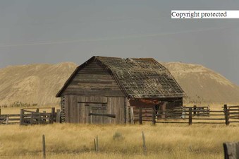 Enlarge photo 160
