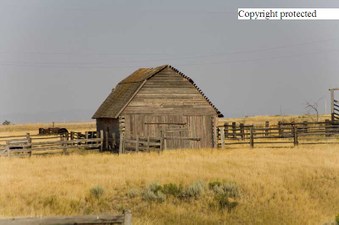 Enlarge photo 161