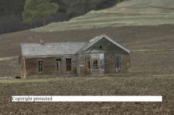 Enlarge photo 163