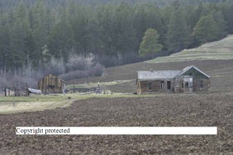 Enlarge photo 164