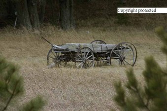 Enlarge photo 165
