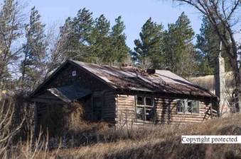 Enlarge photo 167
