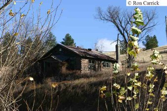 Enlarge photo 168