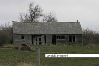 Enlarge photo 170