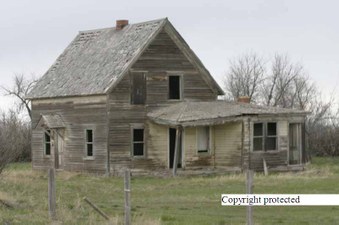 Enlarge photo 171
