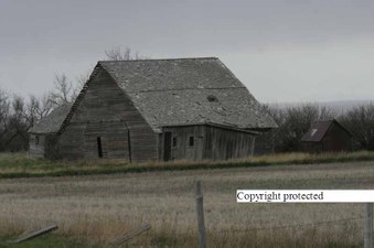 Enlarge photo 172