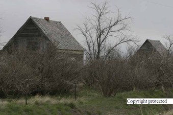 Enlarge photo 174