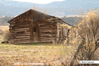 Enlarge photo 177