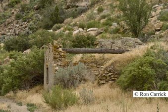 Enlarge photo 178
