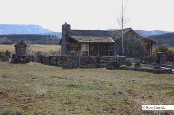 Enlarge photo 181