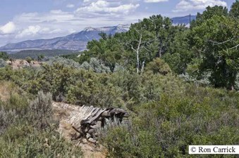 Enlarge photo 209