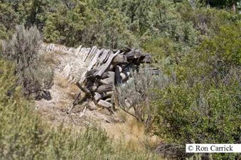 Enlarge photo 210