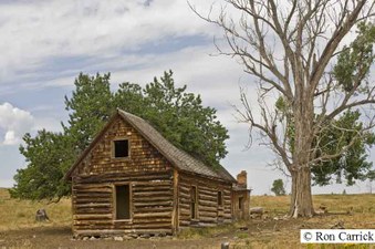 Enlarge photo 205