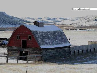 Enlarge photo 188