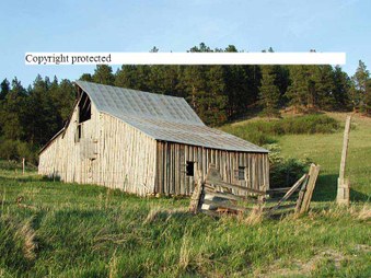 Enlarge photo 192