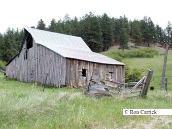 Enlarge photo 193