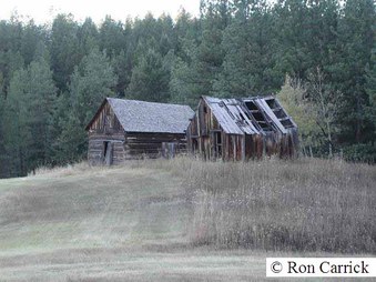 Enlarge photo 195