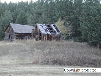 Enlarge photo 196