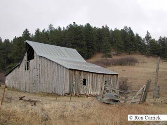 Enlarge photo 199