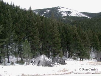 Enlarge photo 201