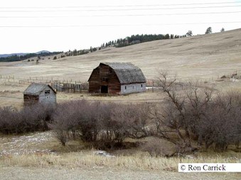 Enlarge photo 203
