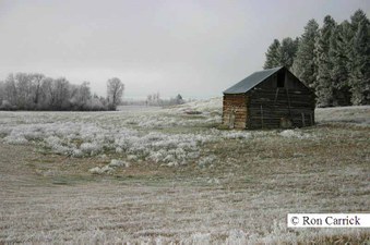 Enlarge photo 166